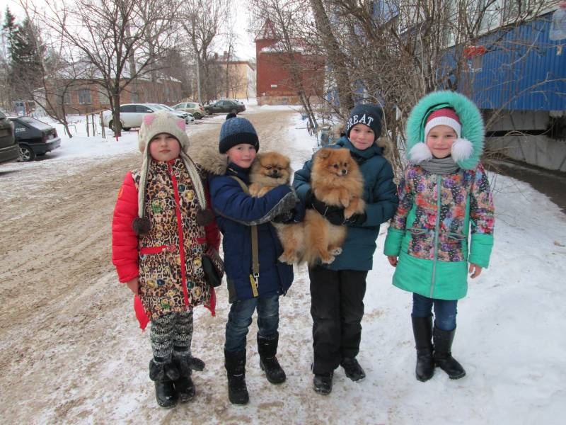 Прогулка с друзьями137627