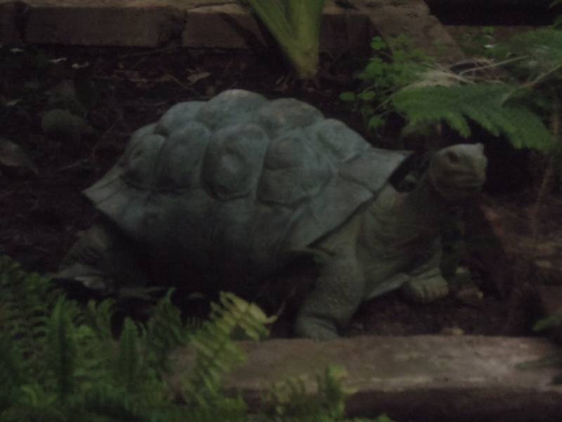 DSCN4799.JPG