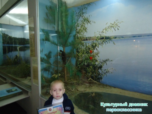 Ульяновский краеведческий музей имени И.А.Гончарова11420