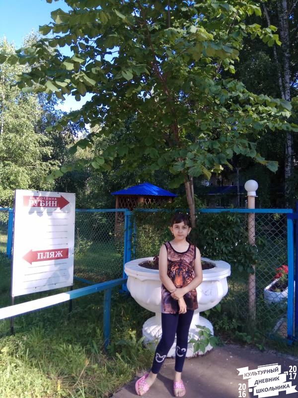 Кандрыкуль.74278