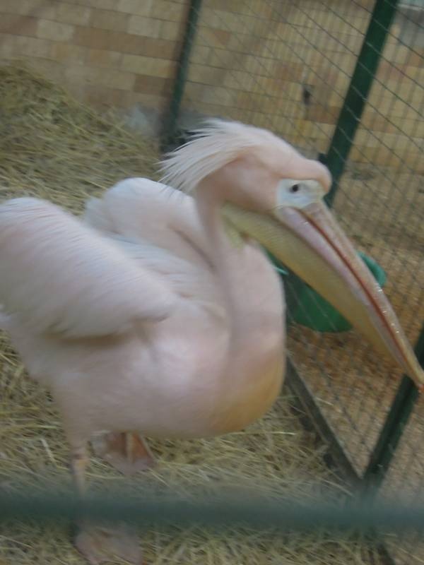 DSCN4966.JPG