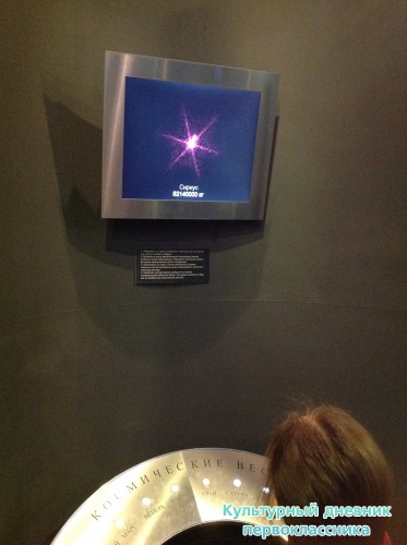 Музей естественной истории16816