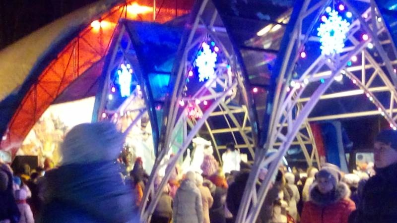 Открытие елки в парке. 16.12.17г.127767
