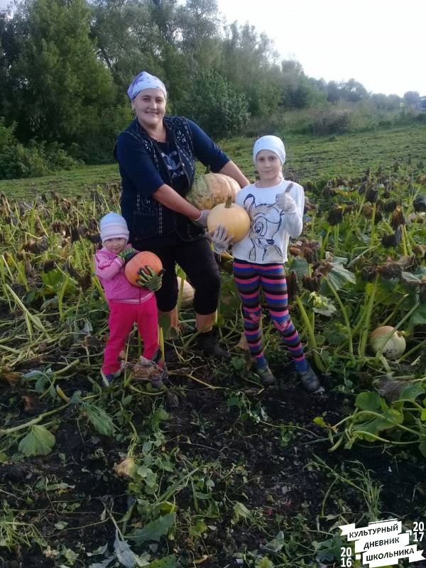 я и моя культурная команда собирает урожай76845