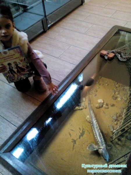 Древняя история Татарстана