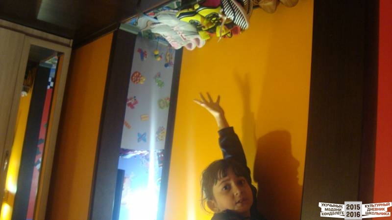 Дом вверх дном39386