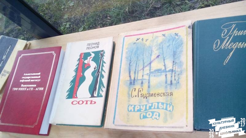 Уличные библиотеки Альметьевска. 31.10.17г.84622