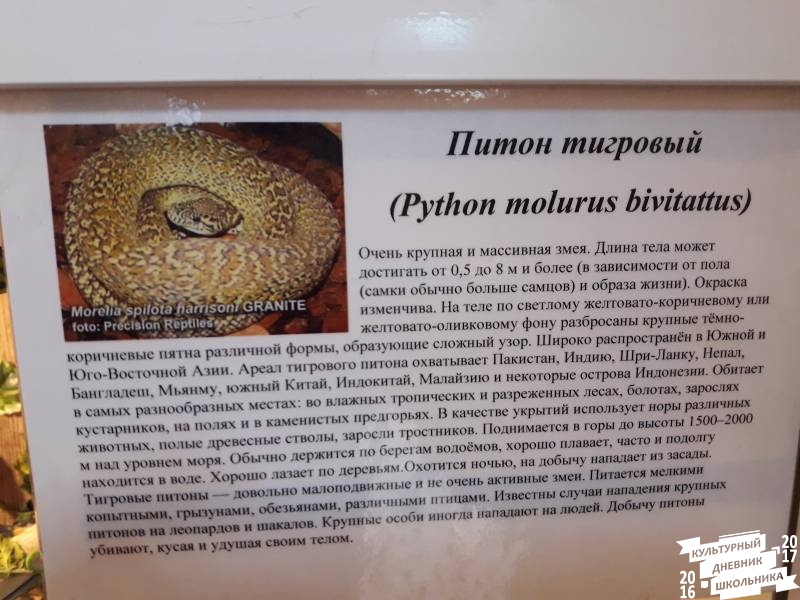 Выставка зоопарк "Живые тропики"60588