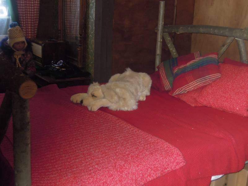 DSCN6729.JPG
