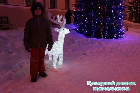 новогодний Кремль16399