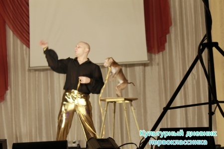 Цирк.21277