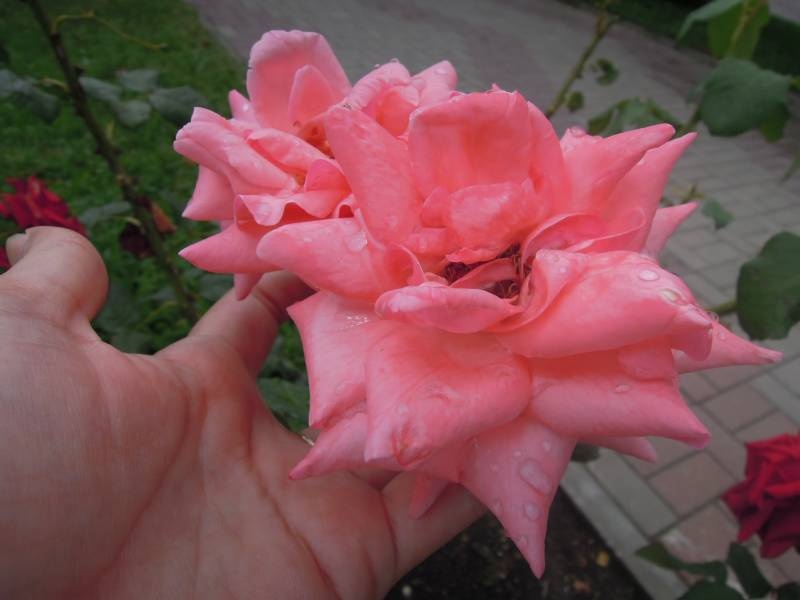 DSCN9899.JPG