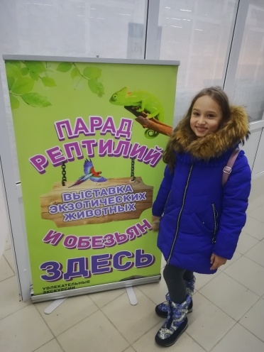 IMG_20181125_191105