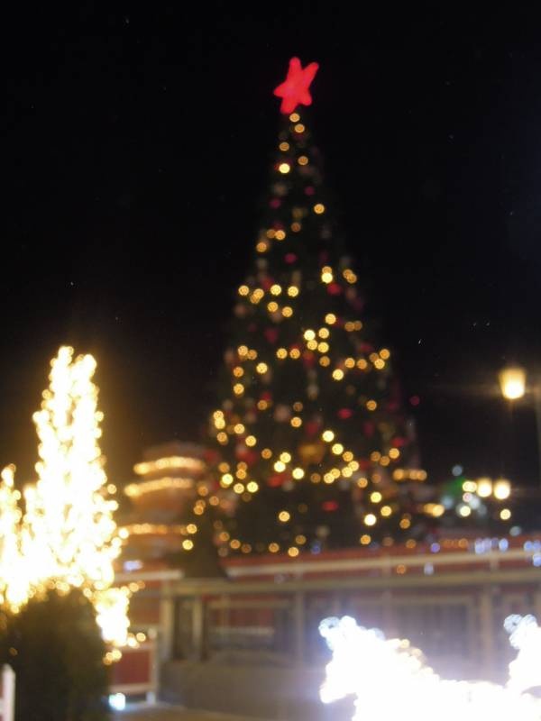 DSCN6743.JPG