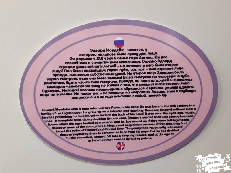 Рекорды и факты. Музей "Веришь или нет". Казань.79869