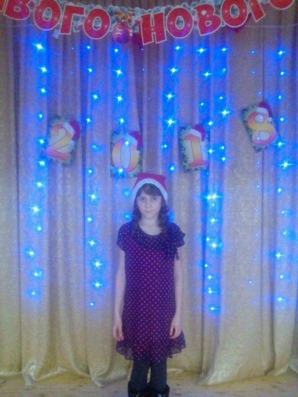Новый год 2018133829