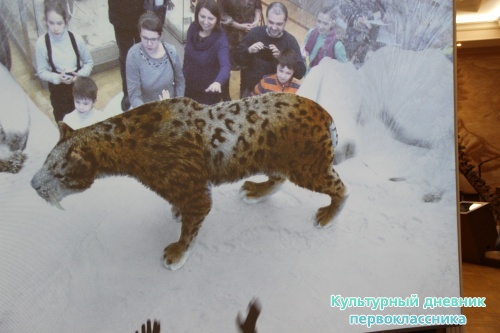 Новый экспонат «Ледниковый период»16482