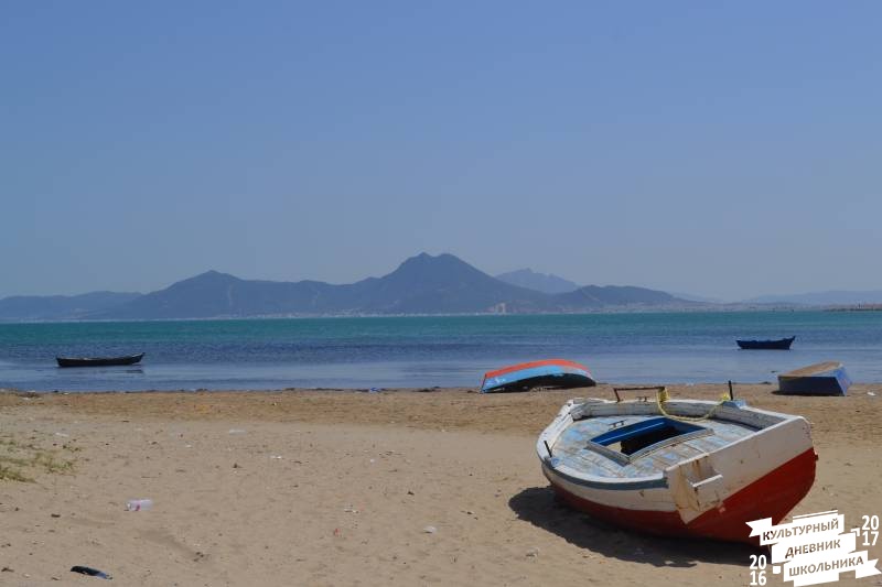DSC_0311.JPG