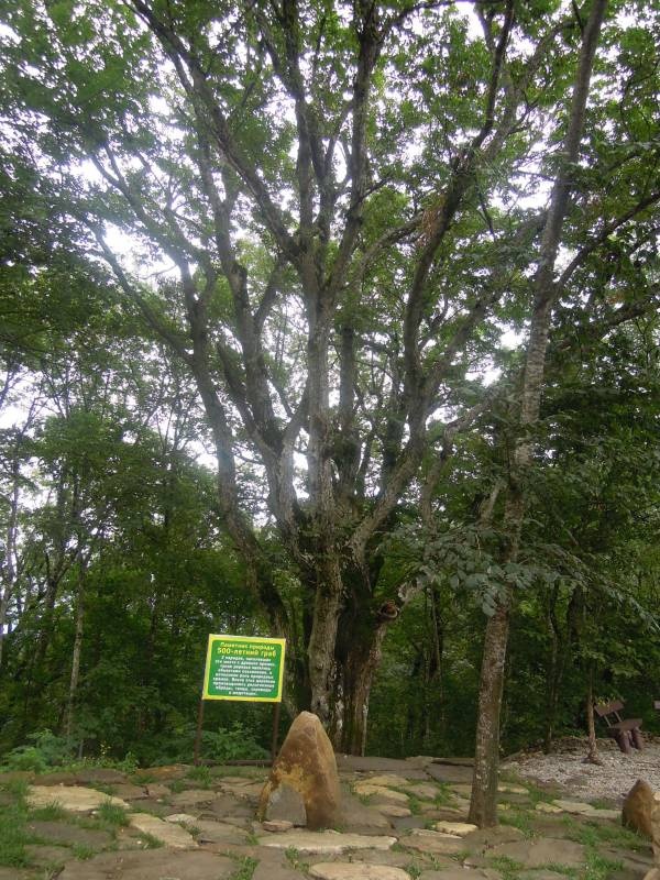 DSCN0356.JPG