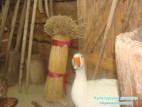 Историко-краеведческий музей8011