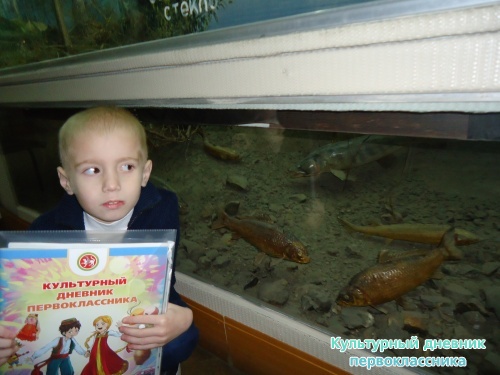 Ульяновский краеведческий музей имени И.А.Гончарова11421