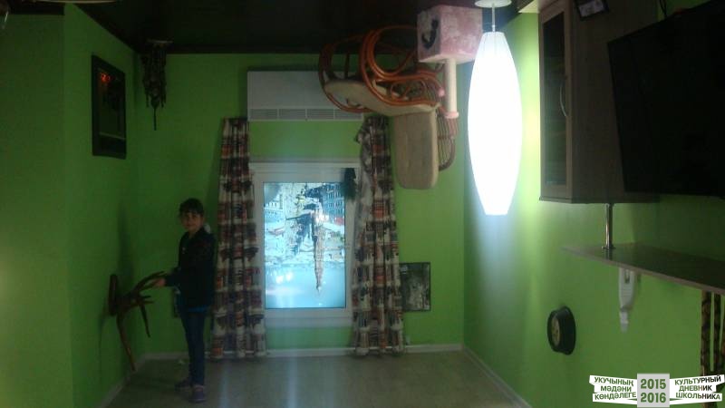 Дом вверх дном39377