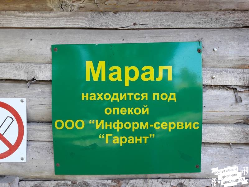 Марал. Зооботанический сад.77154