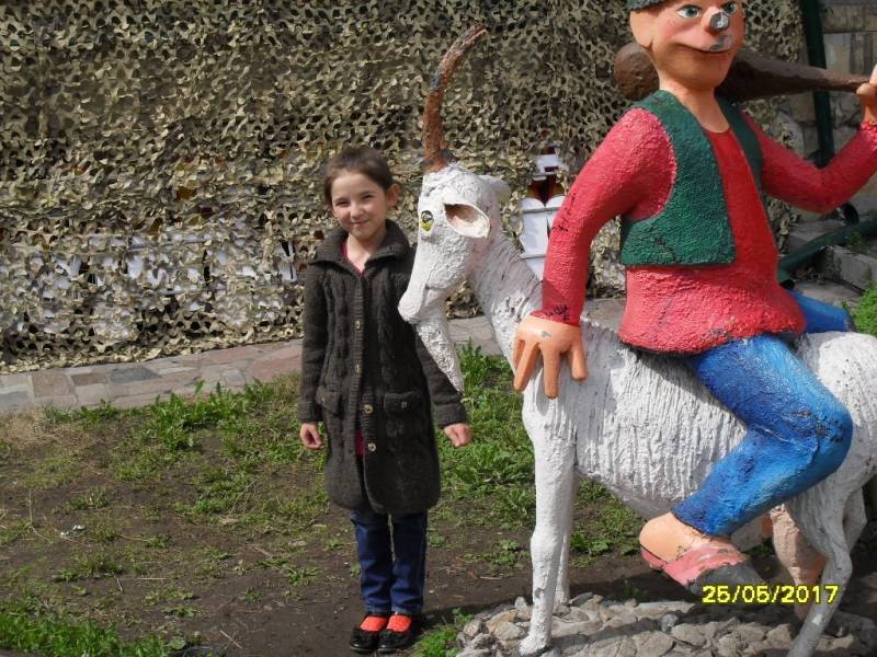 май 2017 год110073