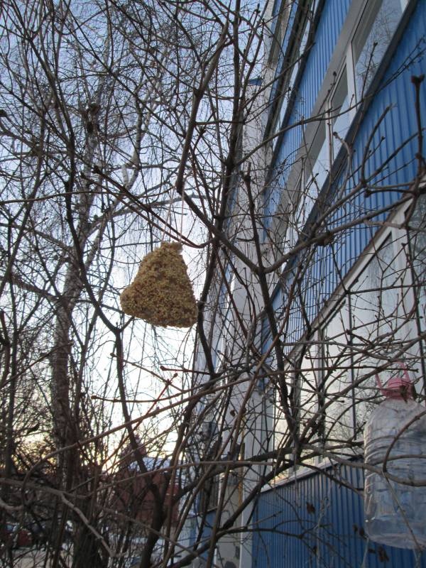 Кормушка для птиц128671