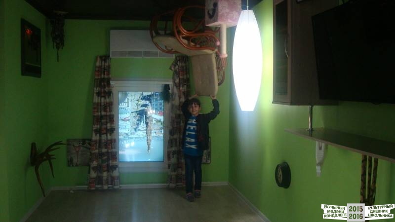 Дом вверх дном39378