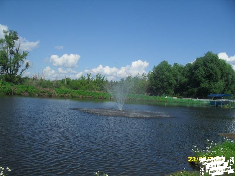 люблю лето82522