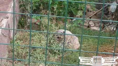 20160828_092704