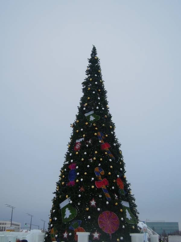 DSCN7028.JPG