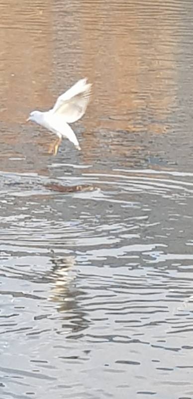 20191025_145232