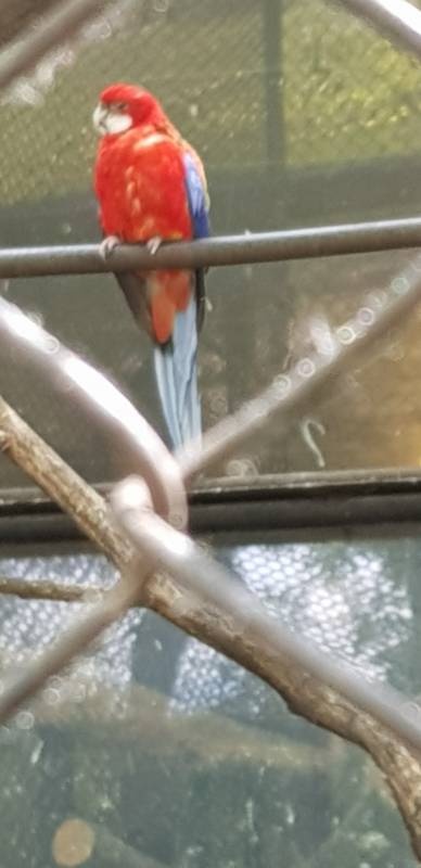 20190623_141444
