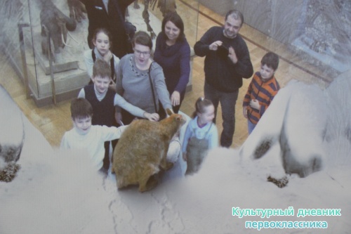 Новый экспонат «Ледниковый период»16487