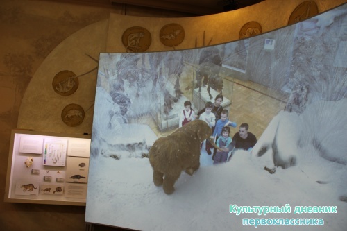 Новый экспонат «Ледниковый период»16498