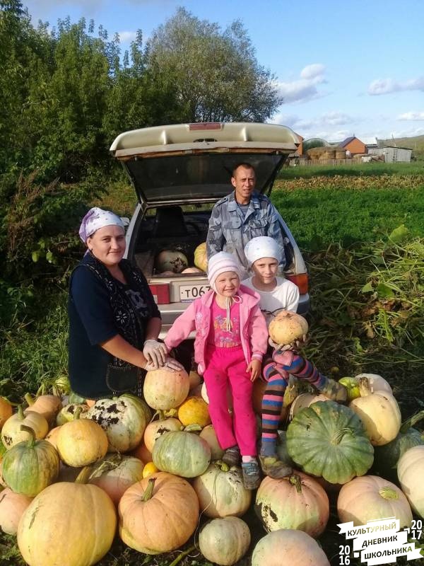 я и моя культурная команда собирает урожай76844