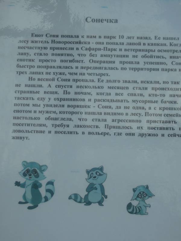 DSCN0214.JPG