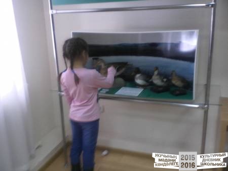 IMG_20160324_150036