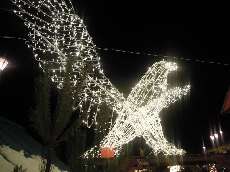 DSCN6749.JPG