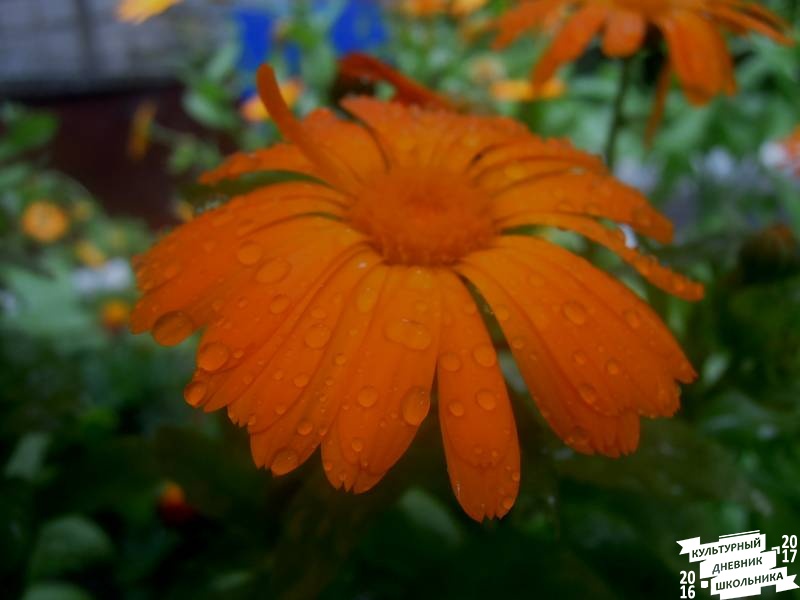 DSCN0306.JPG