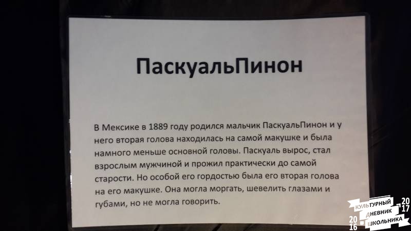 Кунсткамера63264