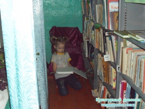 я и мой культурный дневник4588