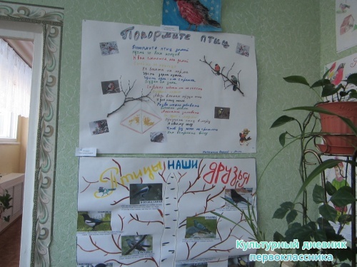 выставка кормушек для птиц8659