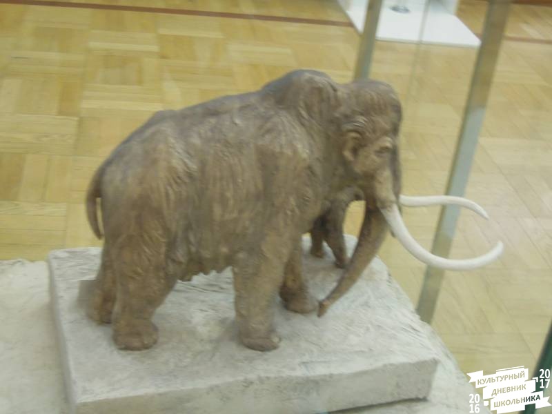 DSCN8554.JPG