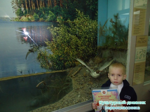 Ульяновский краеведческий музей имени И.А.Гончарова11419