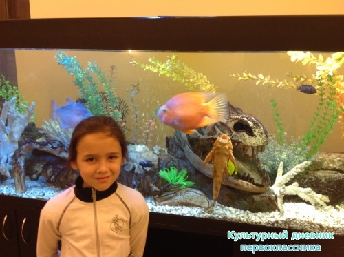 Эрмитаж21009