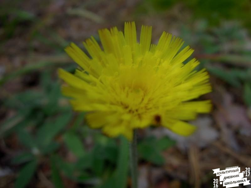 DSCN0592.JPG
