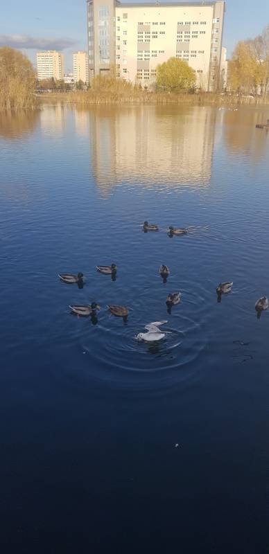 20191025_144621